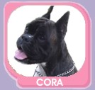 Cora