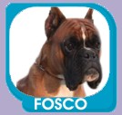 Fosco