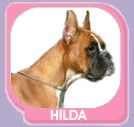 Hilda dei Da Polenta