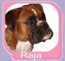 Raja